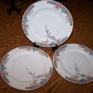 STUNNING ANTIQUE HUTSCHENREUTHER SELB BAVARIA 3 Dinner Plates
