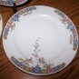 STUNNING ANTIQUE HUTSCHENREUTHER SELB BAVARIA 3 Dinner Plates