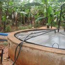 Biogas Ethanol BioDiesel Methane Anaerobic Digester