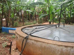 Biogas Ethanol BioDiesel Methane Anaerobic Digester