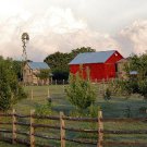 Homesteading Farming Gardening Raising Chicken,