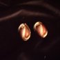 gold & Brown Clip on earrings