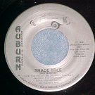 45-TROY McCOURT-SHADE TREE-1989-NM-Glendale,AZ--Private