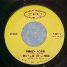 45-STANLEY AND THE STEAMERS--PINEY FORK--1969--Epic--NM
