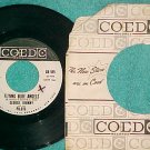 45-GEORGE,JOHNNY & PILOTS--FLYING BLUE ANGELS--WL Promo