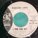 45-DARLENE LOVE-A FINE FINE BOY-Philles 117-WL Promo