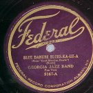 78-GEORGIA JAZZ BAND-BLUE DANUBE BLUES-KA-LU-A--Federal