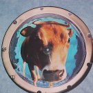 12" UK Picture Disc EP--THE BEYOND--RAGING E.P.--1991