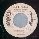 WL Promo 45-JIMMY BREEDLOVE-COULD THIS BE LOVE-Epic-VG+