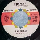 45-LOU BUSCH-DIMPLES-1963-Warner Bros. 5329-Promo--VG++