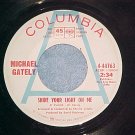 45-MICHAEL GATELY--SHINE YOUR LIGHT ON ME-1969-WL Promo