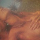 SEGREDOS DE AMOR-1986 Brazil LP on Top Tape ~Cheesecake