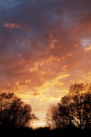 Paint the Sky With Fire (print only) - 16x24