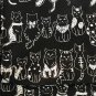 Free Shipping School Kindergarten Kids Backpack - cats
