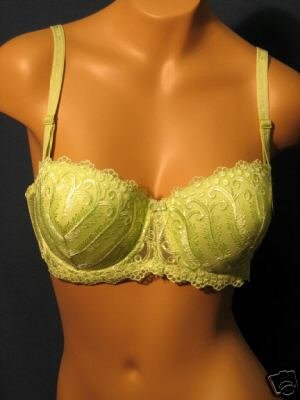 BRAS  LIME LACE PADDED UNDERWIRE BRA  SZ 34-C NEW