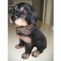 NEW 8 " TALL DOG FIGURINE BRUISER  BY YOUNG 2003
