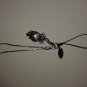 Koala Keychain