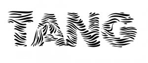 Zebra (T-Shirt)