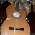 Electric- Acoustic Guitar Antonio Hermosa