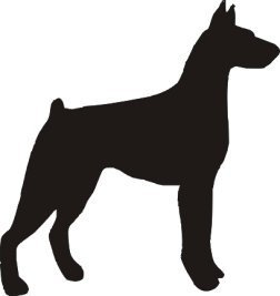 Doberman Vinyl Window Decal