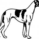 Greyhound Vinyl Window Decal