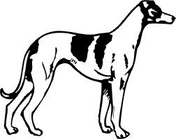 Greyhound Vinyl Window Decal