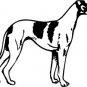 Greyhound Vinyl Window Decal