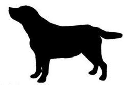 Labrador Retriever Vinyl Window Decal