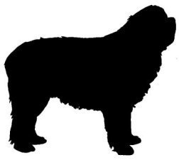 Newfoundland Vinyl Window Decal
