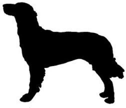 Large Munsterlander Dog Vinyl Window Decal NEW!