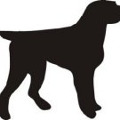 Wirehair Griffon Dog Vinyl Window Decal NEW!