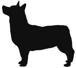 Swedish Valhund Dog Vinyl Window Decal NEW!