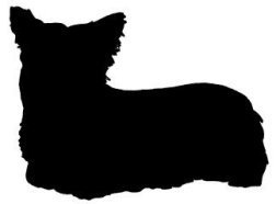 Skye Terrier Dog Vinyl Window Decal NEW!