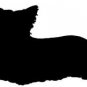 Skye Terrier Dog Vinyl Window Decal NEW!