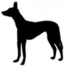 Pharaoh Hound Dog Vinyl Window Decal NEW!