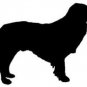 Nova Scotia Duck Tolling Retriever Vinyl Window Decal