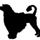 Portuguese Water Dog Vinyl Window Decal