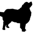 NEW! Bernese Mountain Dog Vinyl Window Decal