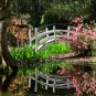 Spring at Magnolia Plantation-8x12