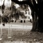 Plantation Swings-20x30