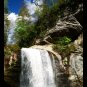 Looking Glass Falls-20x30