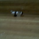 Little Butane Lighter