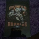 Denver Broncos