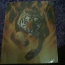 Tiger in flames picture