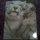 Tiger with her cub picture