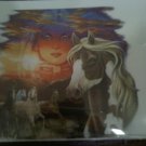 Indian Pride