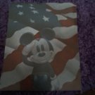 USA Mickey Mouse Picture