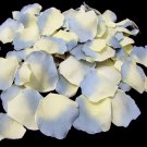 Desert Blue Rose Petals