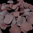 Cinnamon-Rose Rose Petals
