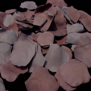 Cinnamon-Rose Rose Petals